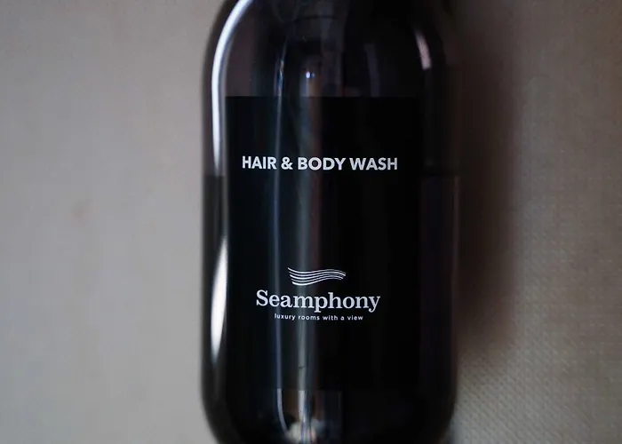 Welcomely Ольбия